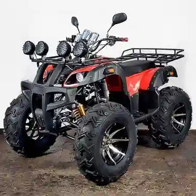 300cc Atv/200cc Atv/quad/atv Quad Bike 2