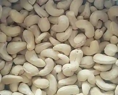 Dried Cashew