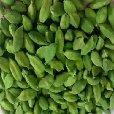 Green Pure Natural Dried Cardamom