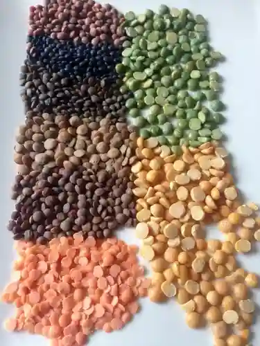 Fresh Whole Split Lentils