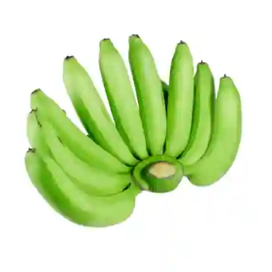 Fresh Green Cavendish Banana Moisture (%): 15-17%