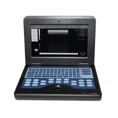Convenient Animal Color B-ultrasound Machine Veterinary Ultrasonic Diagnostic Equipment