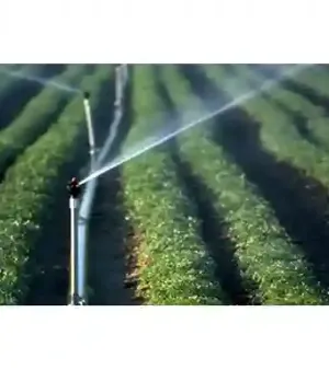 Silver Drip Irrigation System