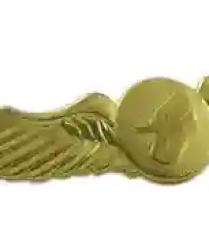Wing Lapel Pin Logo