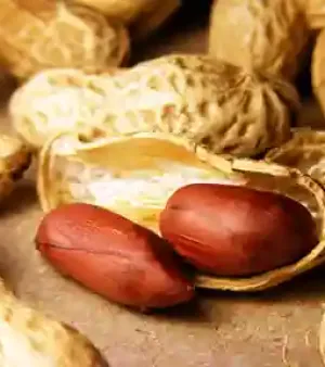 Peanuts