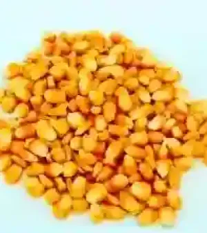 Corn