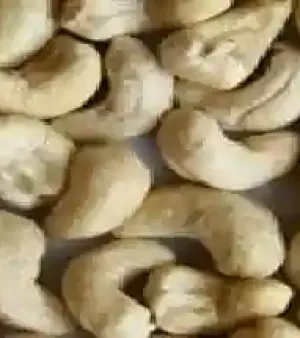 Dried Cashew Nuts