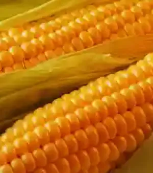 Corn By G2r Limited
