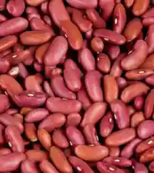 100% Dried Natural Kidney Beans With Maximum Moisture Of 15%