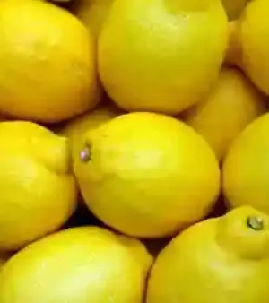 Preserved 100% Fresh Natural Round Lemon