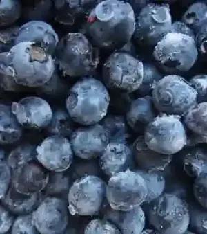 Dark Blue Pesticides Free Frozen Blueberry
