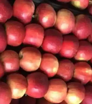 Fresh Fruits