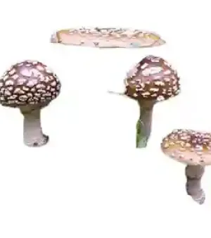 A Grade 99.9 Percent Purity Filament Shape Edible Amanita Regalis Dried Mushroom from Russia