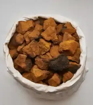 Wild Harvested Siberian Chaga Pieces from Russia