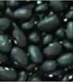 Black Beans Porotos Negros