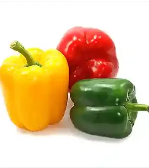Round Fresh Capcicum