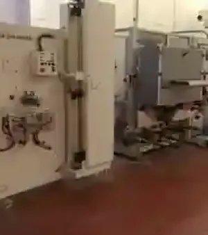 Meat Pad And Breast Pad Making Machines