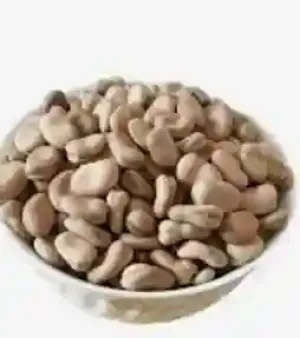 High Nutritional Egyptian Bean