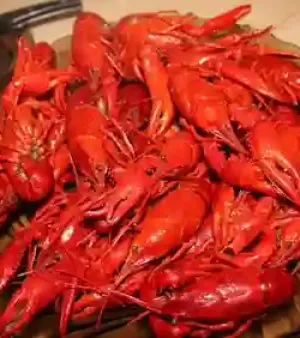 Frozen Whole Round Lobster