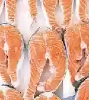 Atlantic Salmon Fish Fillet
