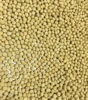Yellow Peas