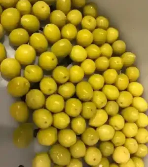 Green Color Fresh Olive Origin: Egypt