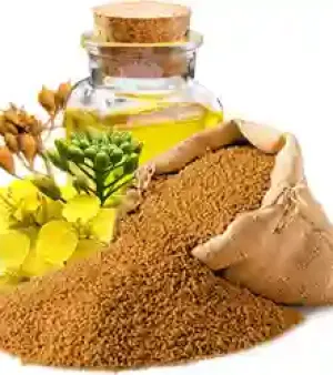 Camelina Oil