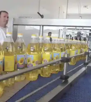High Standard Refined Sunflower Oil