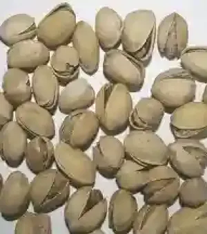 Premium Grade Pistachio Nut By Tisza-trade Kft