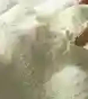 Skimmed Milk Powder By Lacova_enterprise_kft
