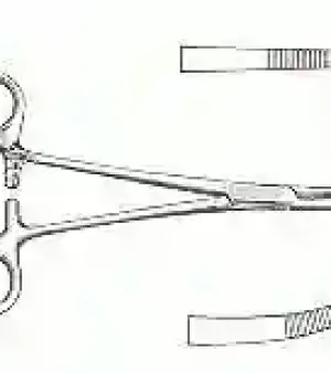 Kelly Forceps