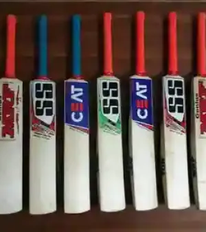 Most Stylish Cricket Bat