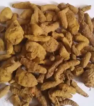 Raw Turmeric