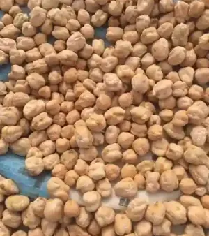 Kabuli Chick Pea
