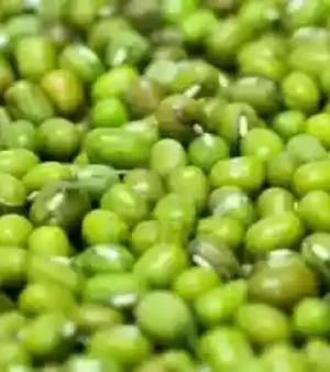Green Mung Bean