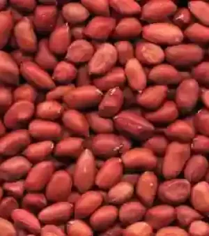 Red Kernel Peanut
