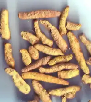 Turmeric Fingers