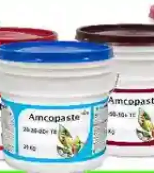 Amcopaste Capsules