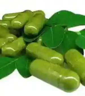 Moringa Leaf Powder