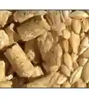 Maize Cattle Feed By Alghadeer Co.