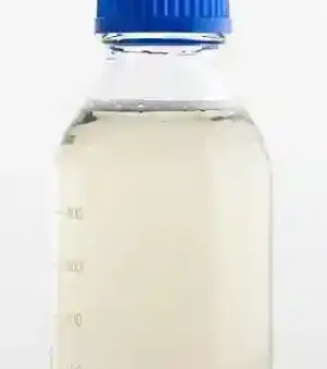 Snail Extract