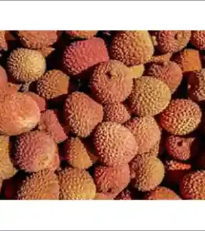 Fresh Lychee