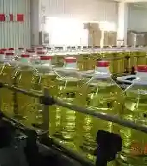Refined Corn Oil By Magointernationalsa