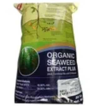 Organic Seaweed Extract Powder