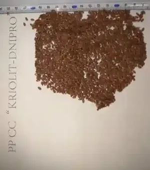 Flax Seeds