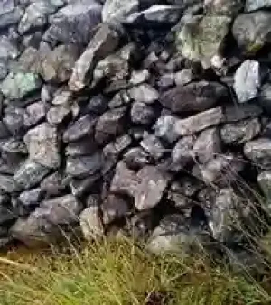 Chromite Ore