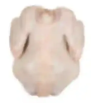 Natural Whole Frozen Chicken Meat