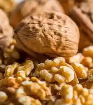 Common Fresh Walnut