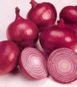 Natural Red Onion