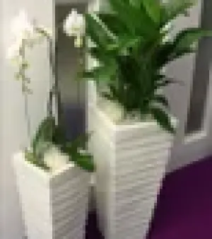 Marble Flower Pot, Size: 18 inch; Color: White